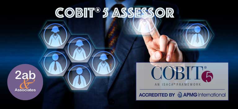 COBIT Assessor