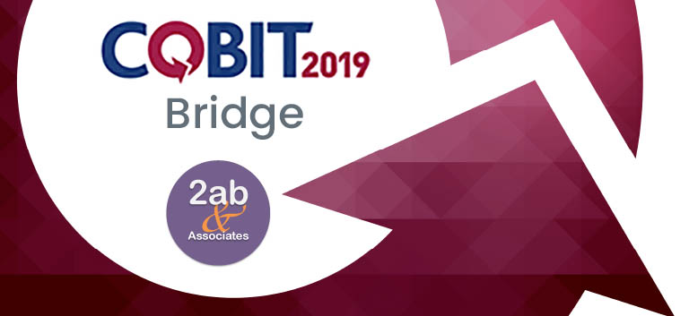 COBIT 2019 Bridge