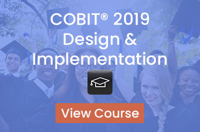 Exam COBIT-2019 Overviews