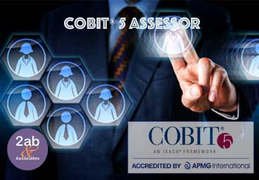 COBIT Assessor