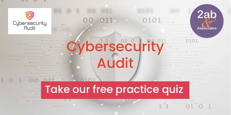 Cybersecurity Audit Quiz