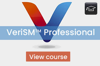 VeriSM™Professional (3 days)